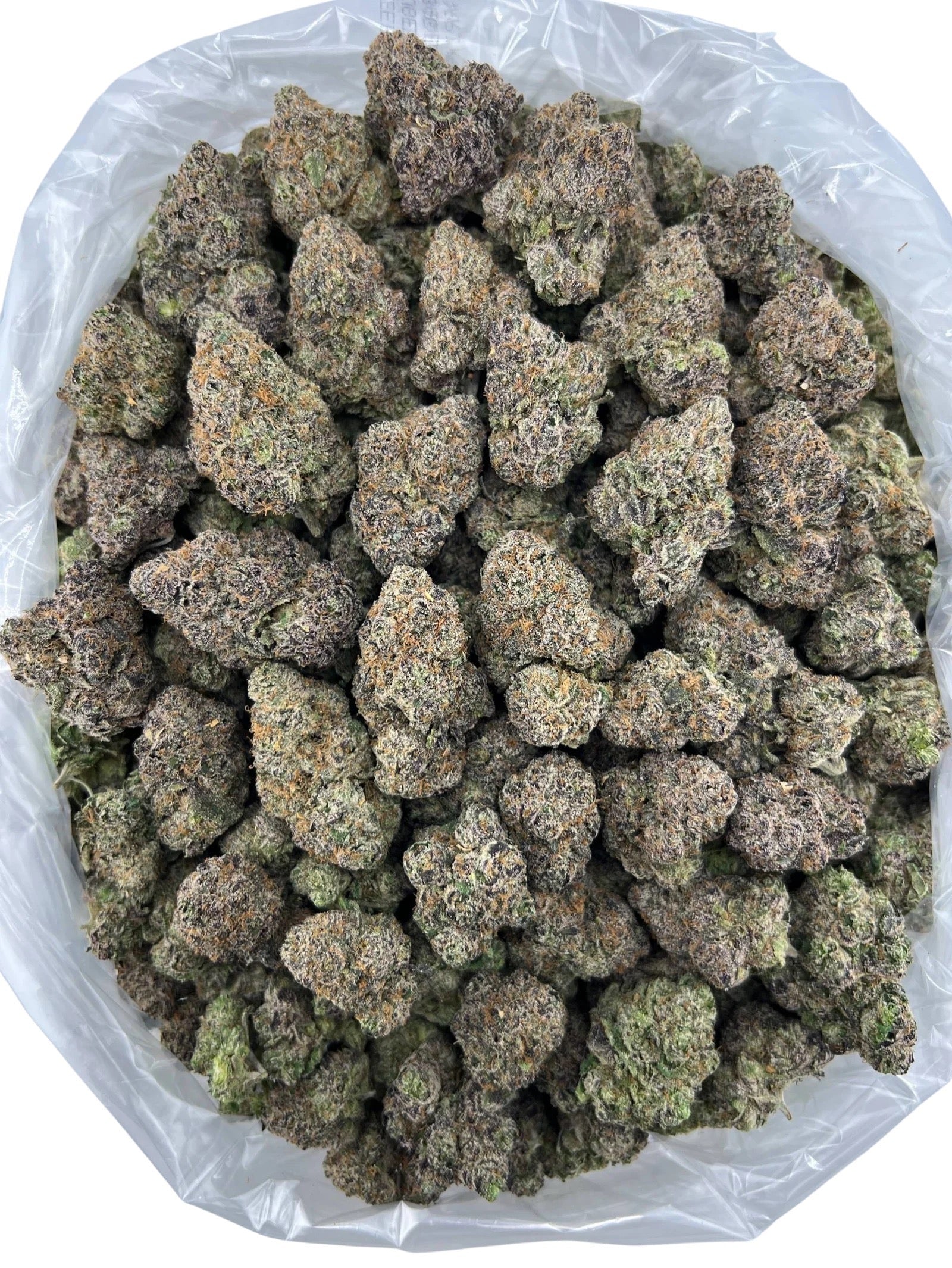 GL Obama Runtz Candy