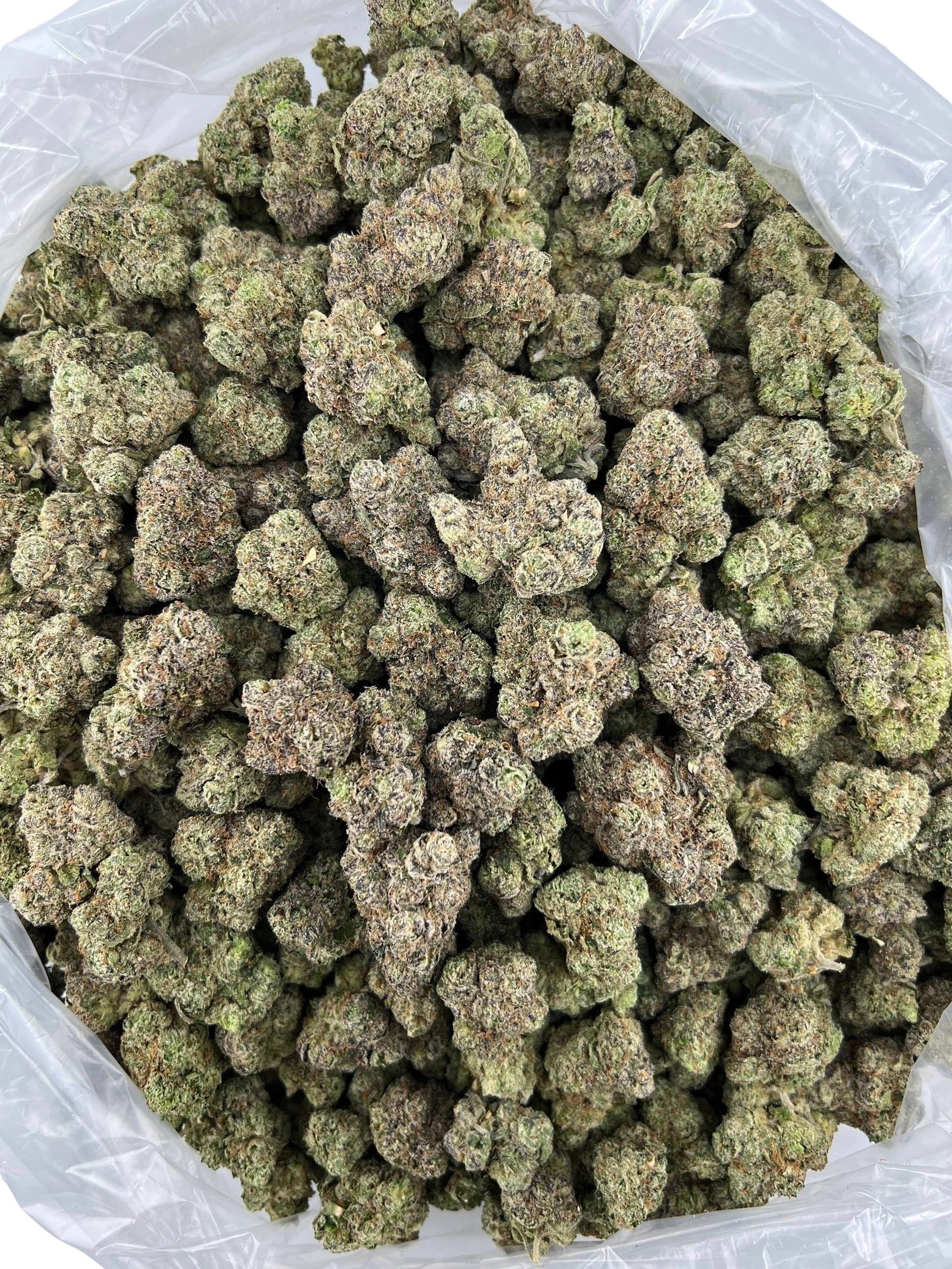 GL Runtz x Zkittlez
