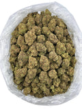Candy Jack