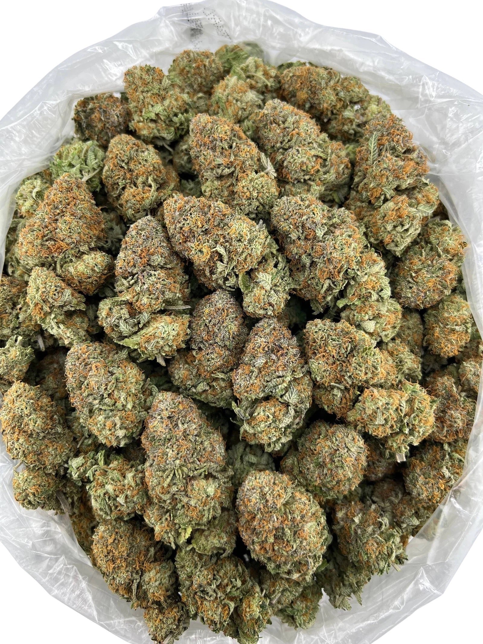 Bubba Purple (Holiday Special)