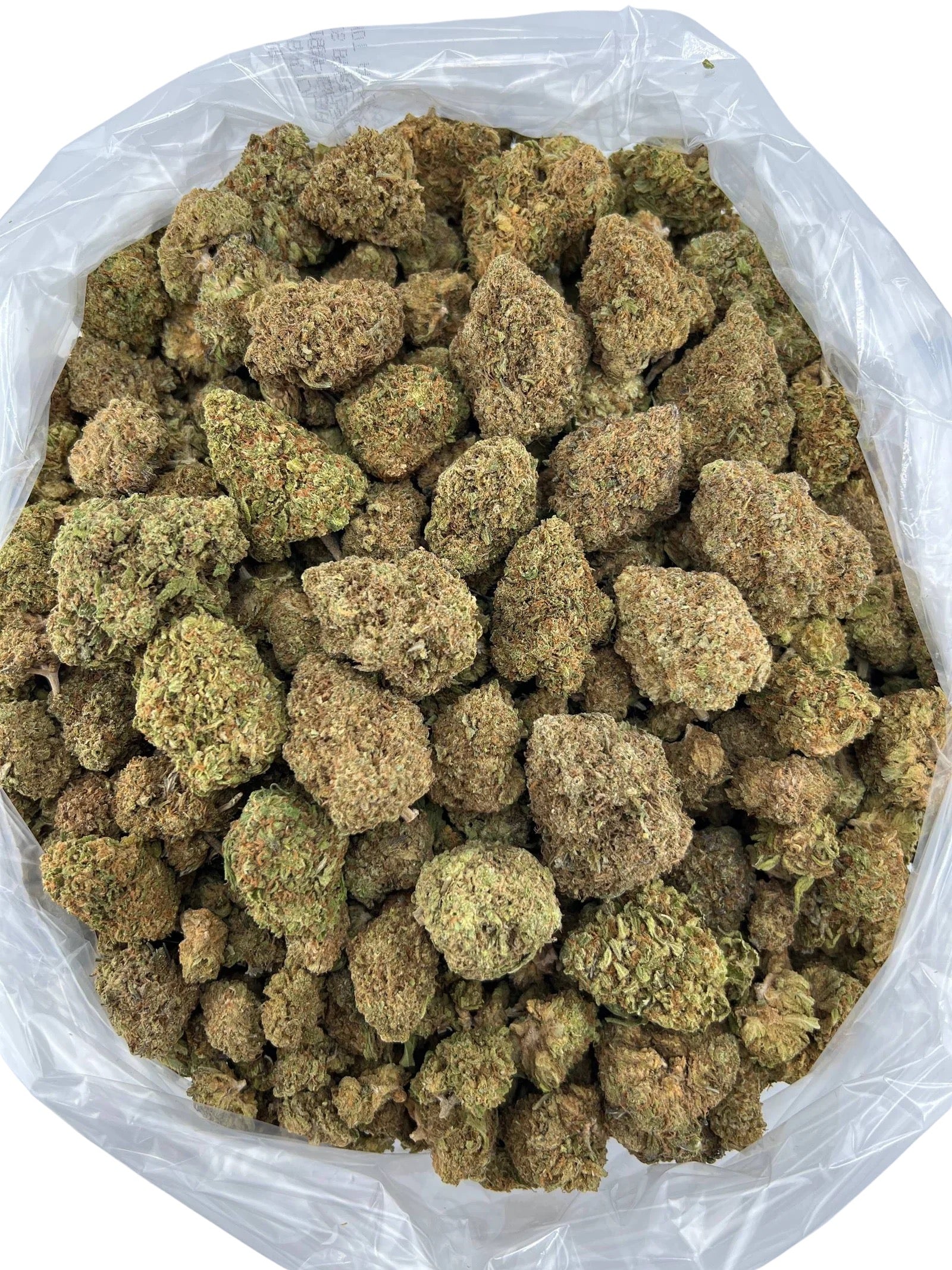 Blackberry Diesel