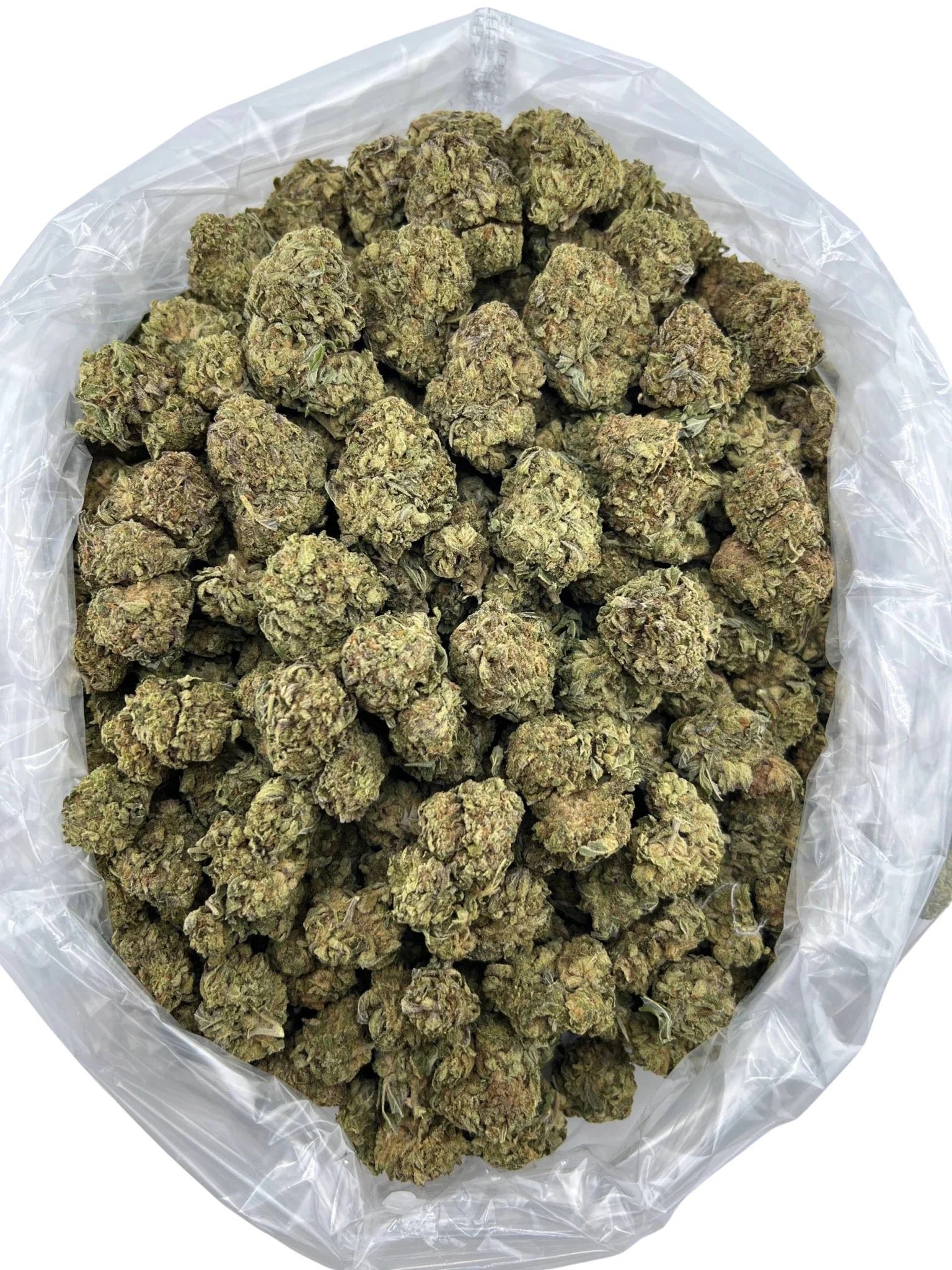 Blackberry Diesel