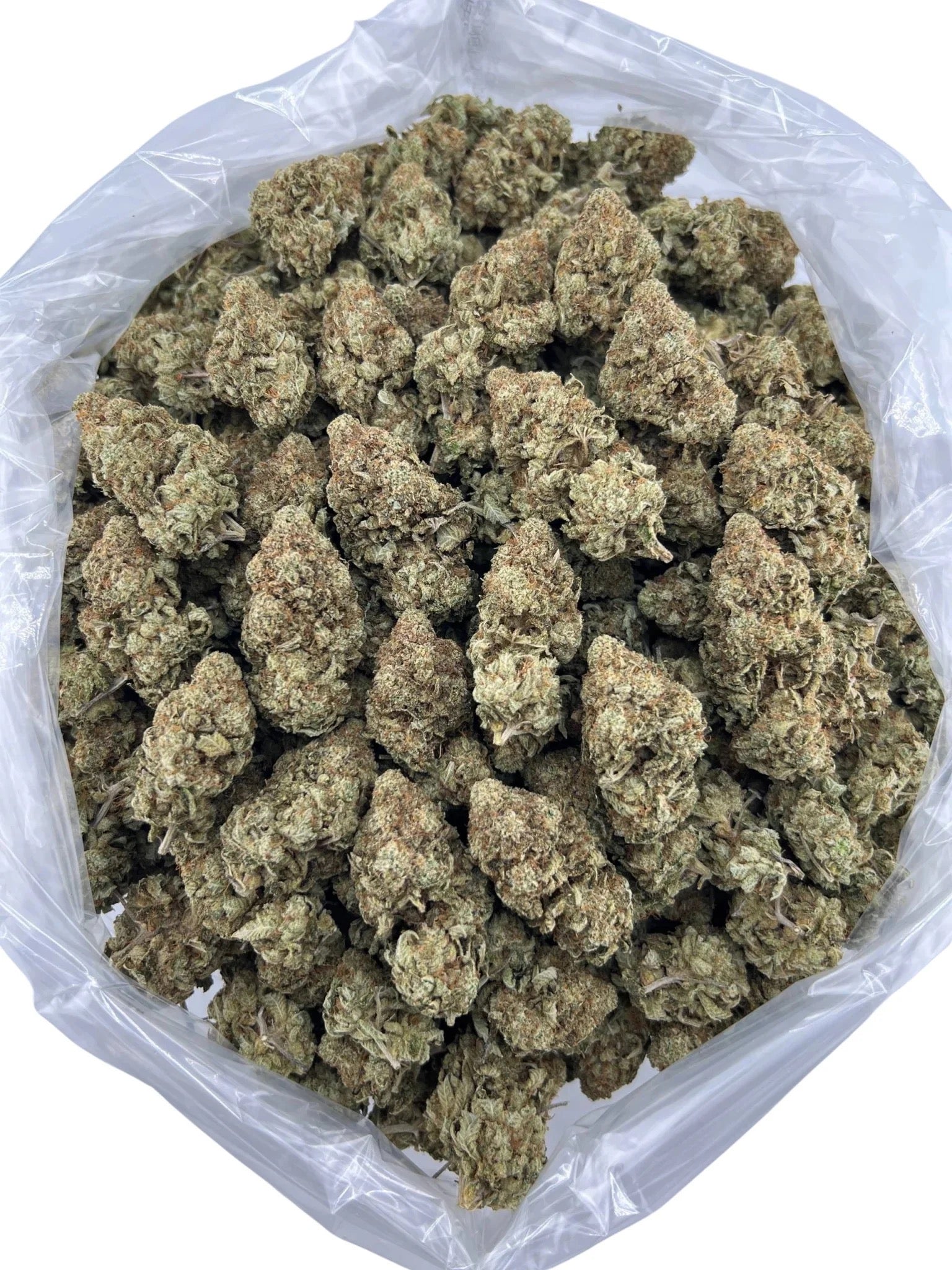 Skywalker GG